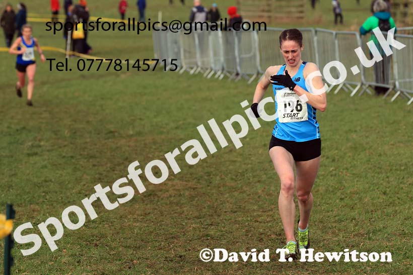 Senior Womens 2024 Northern Cross Country Champs., Sedgefield. Photo: David T. Hewitson/Sports for All Pics